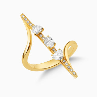 Dizzy Delight Ring