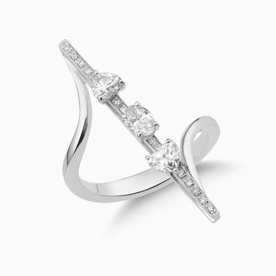 Dizzy Delight Ring is a ring with oval and heart shaped diamonds moving together in 18kt white gold.